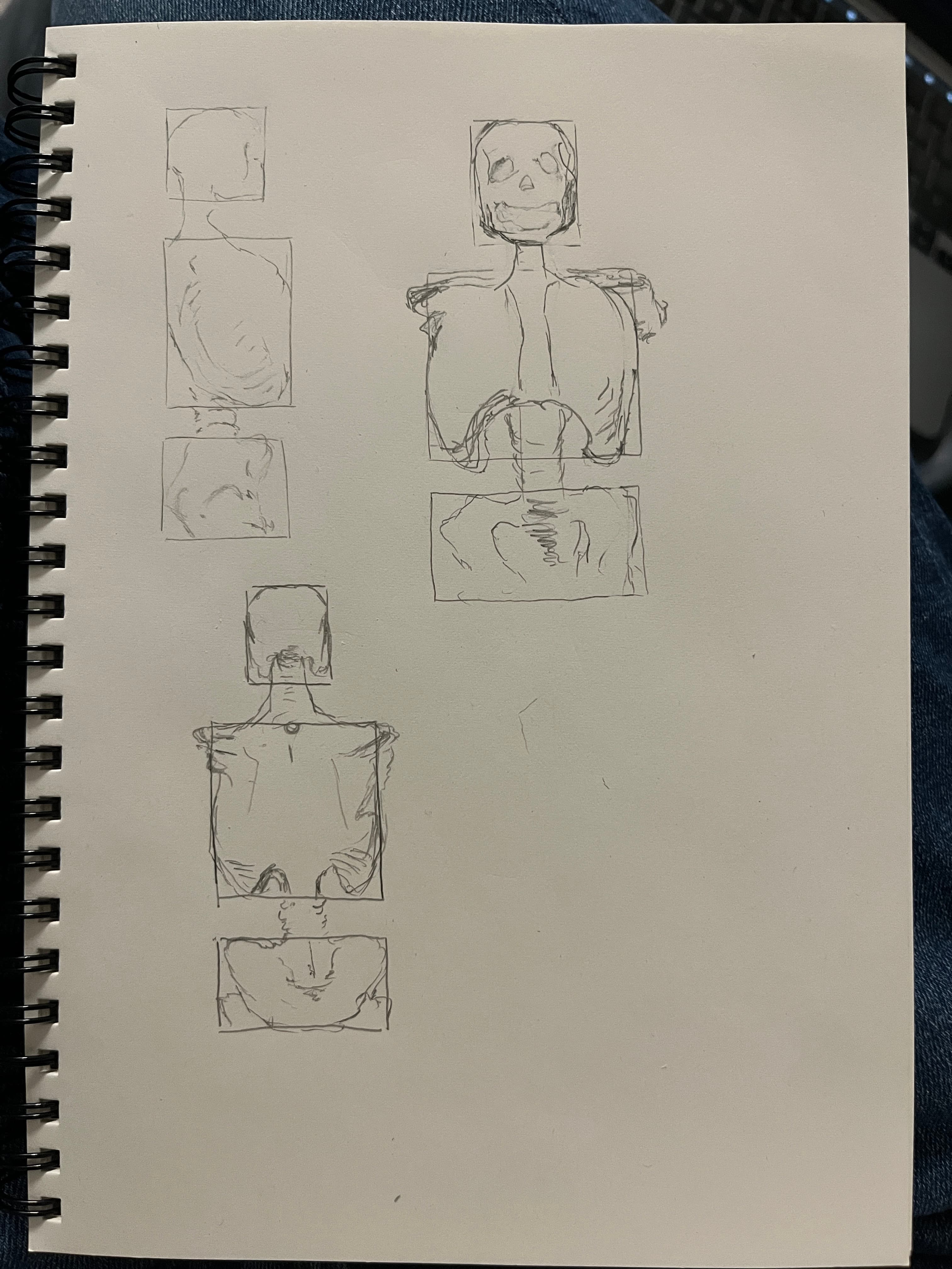 skeleton